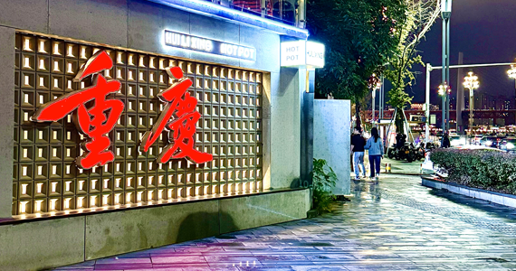 cn域名电子证书查询系统