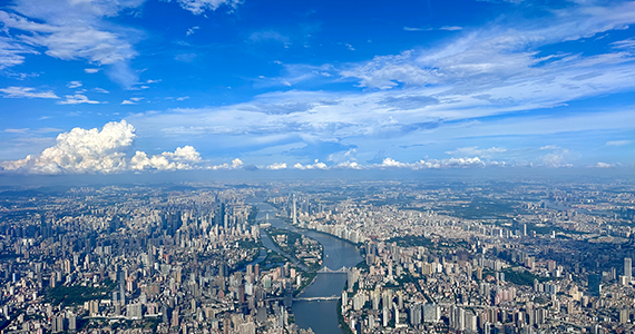 cn域名注册信息查询