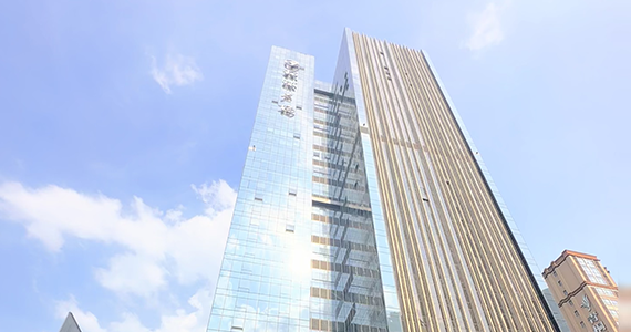 长沙cn域名信息查询