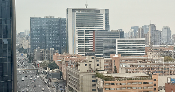 cn中文域名过期删除查询