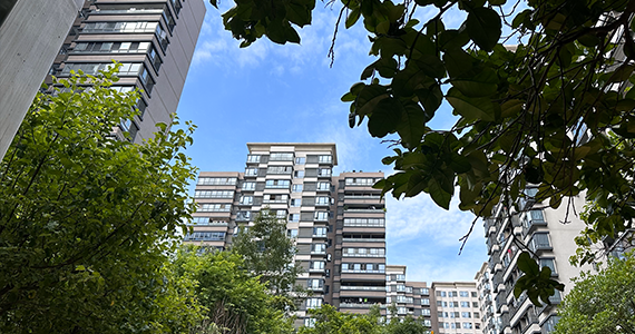 广州cn域名信息查询