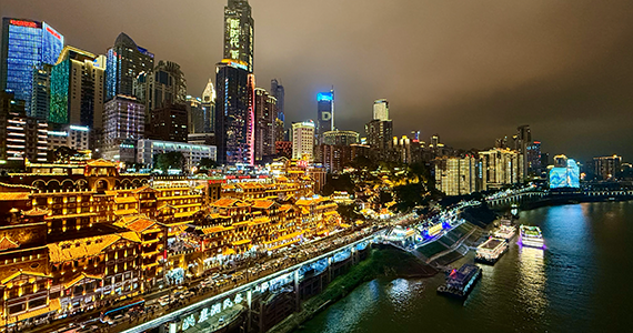 专业CN域名信息查询网站