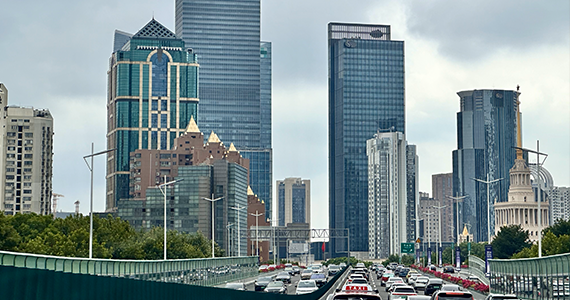 徐州cn域名信息查询