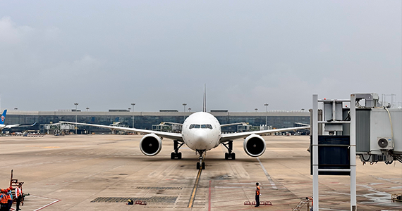 域名cname记录查询怎么查询