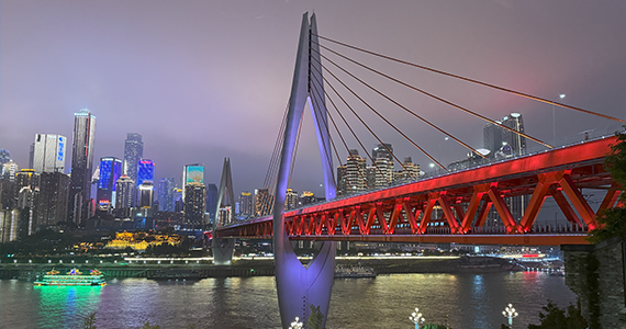 泉州cn域名信息查询