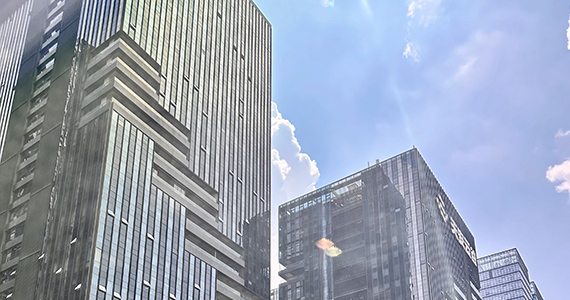 Delphi 查询域名CNAME